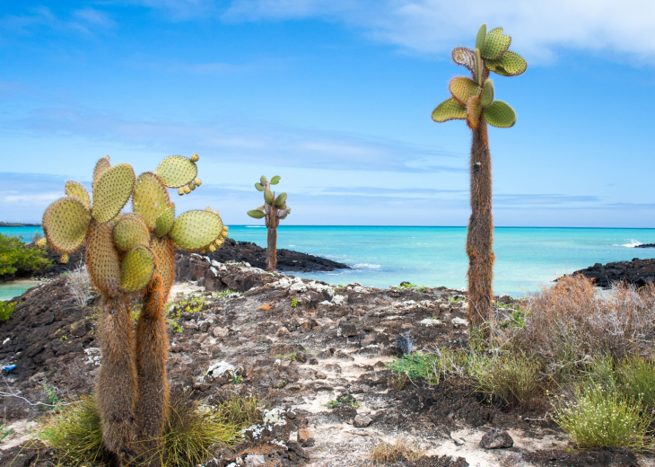 combine-equateur-galapagos