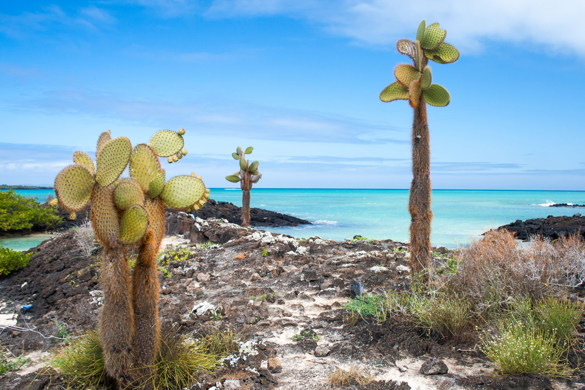 combine-equateur-galapagos