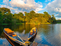 Cuyabeno Amazonie