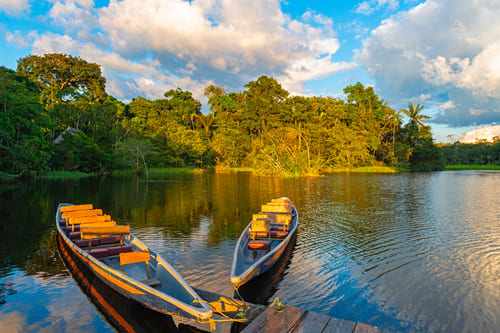Cuyabeno Amazonie