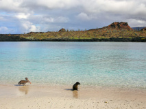 Île de Sombrero Chino