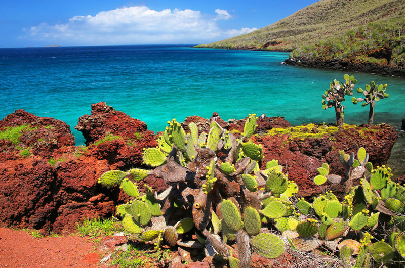 Île de Rabida