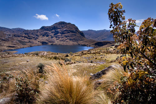 Parc National Cajas