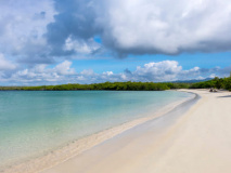 Tortuga Bay