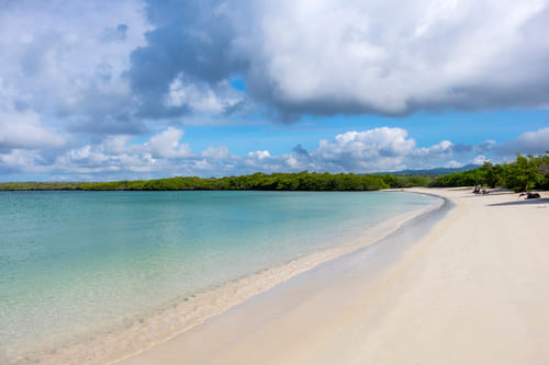 Tortuga Bay