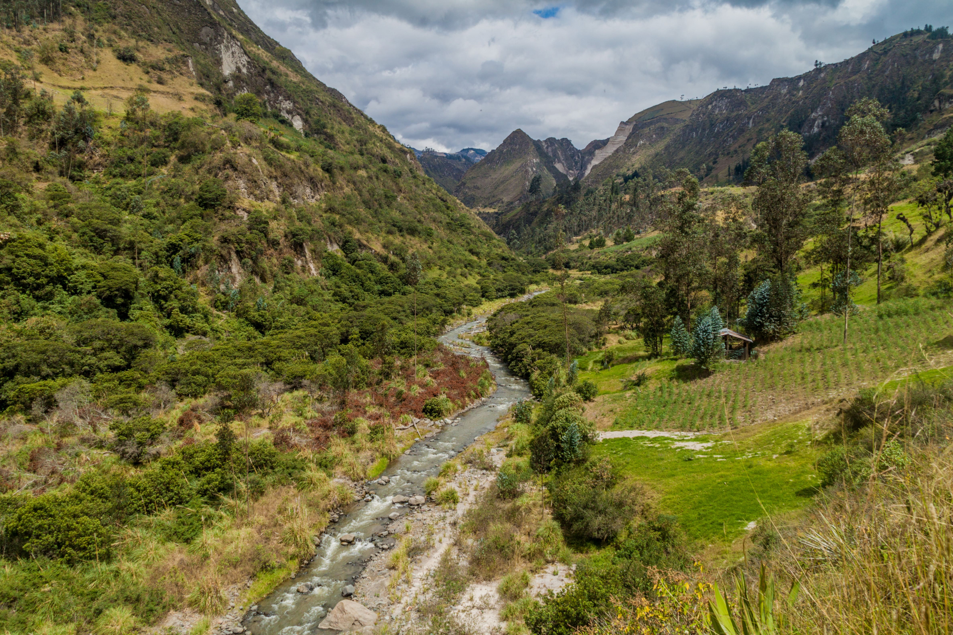 andes-equatoriennes