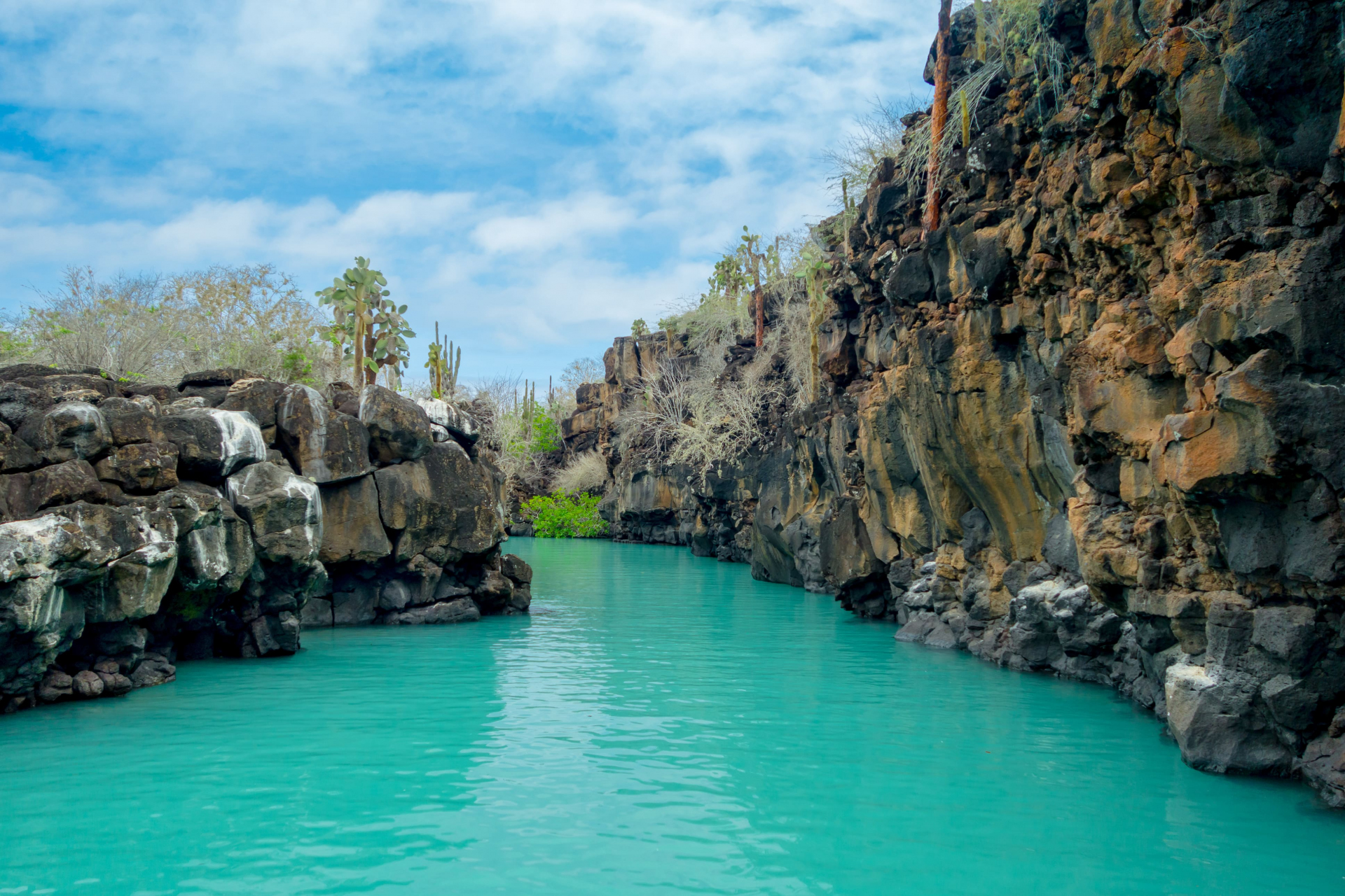 las-grietas-galapagos