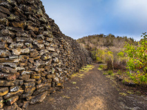 Mur des larmes