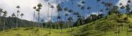 vallee-de-cocora-combine-equateur-colombie