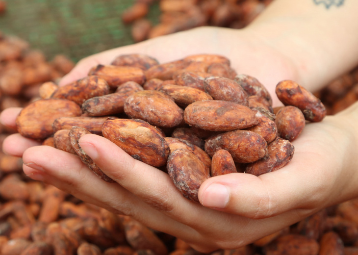 chocolat-equateur-entre-amis