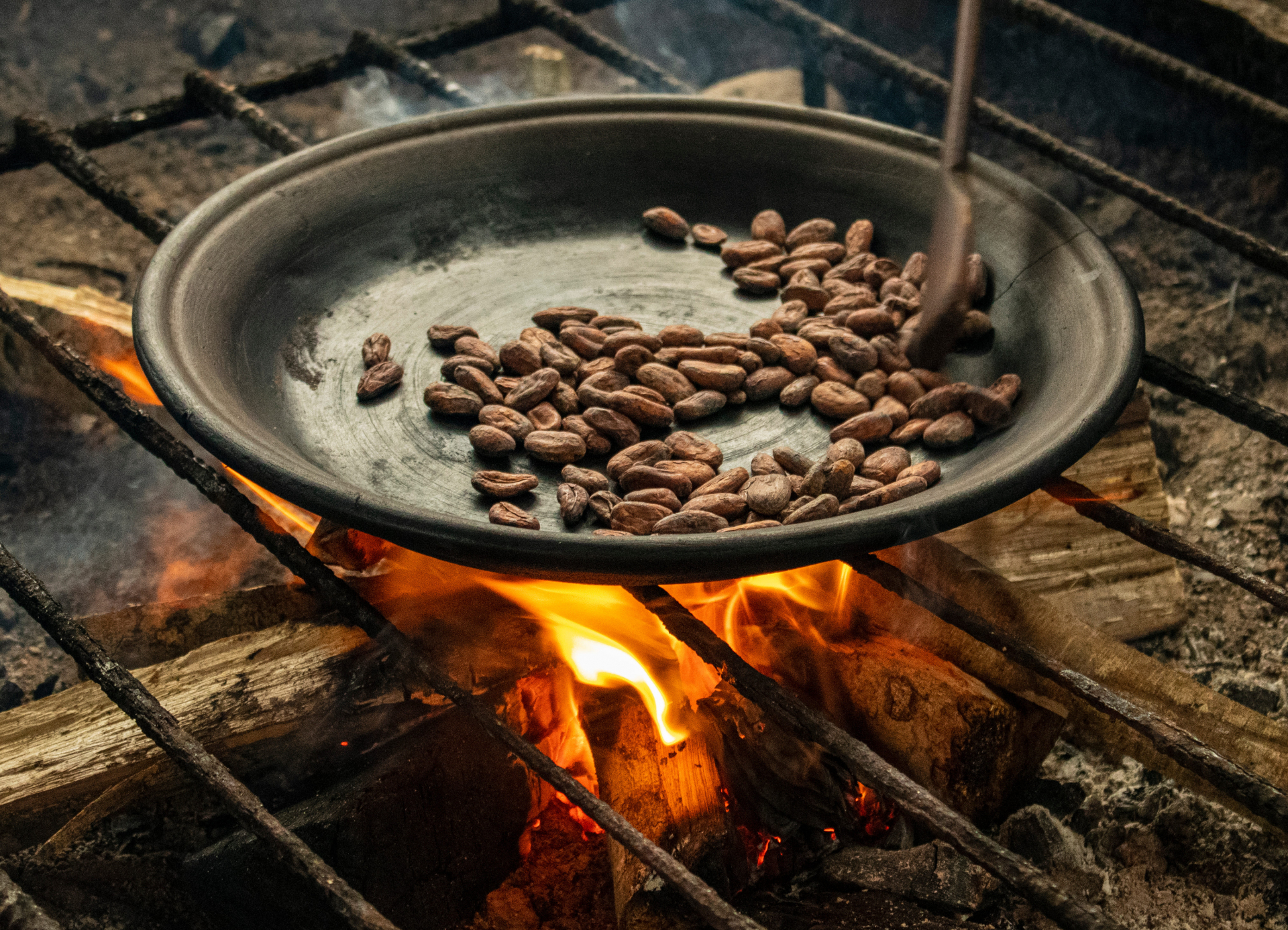 chocolat-equateur