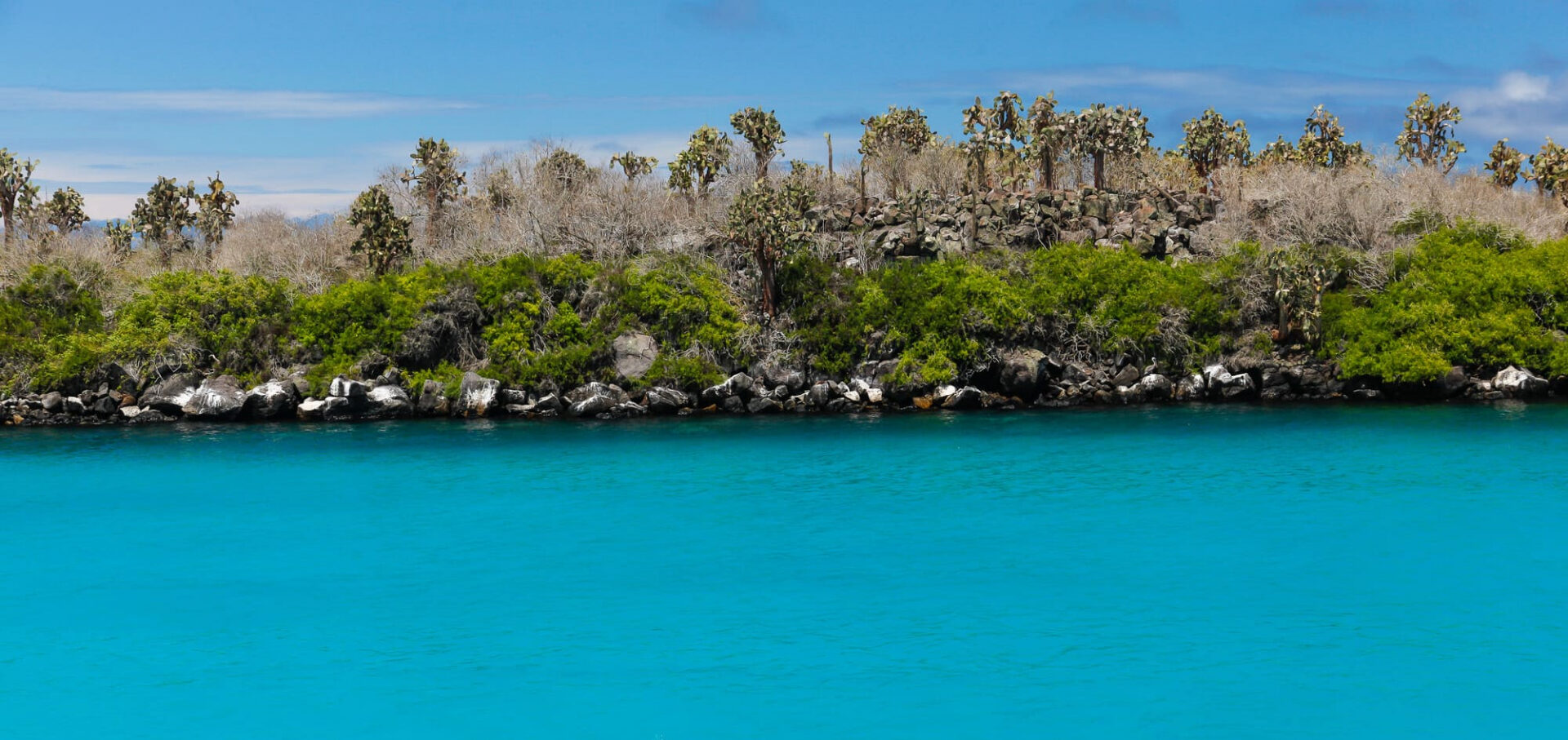 quand-partir-galapagos