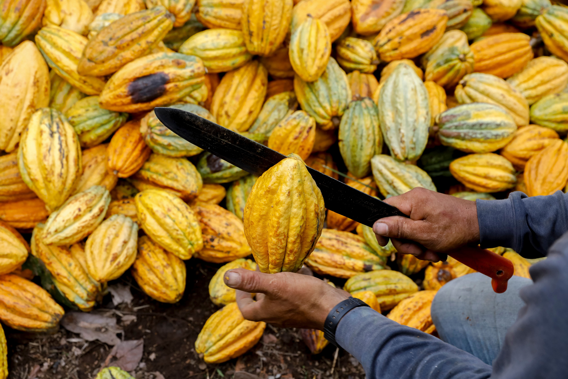 conseils-sante-equateur