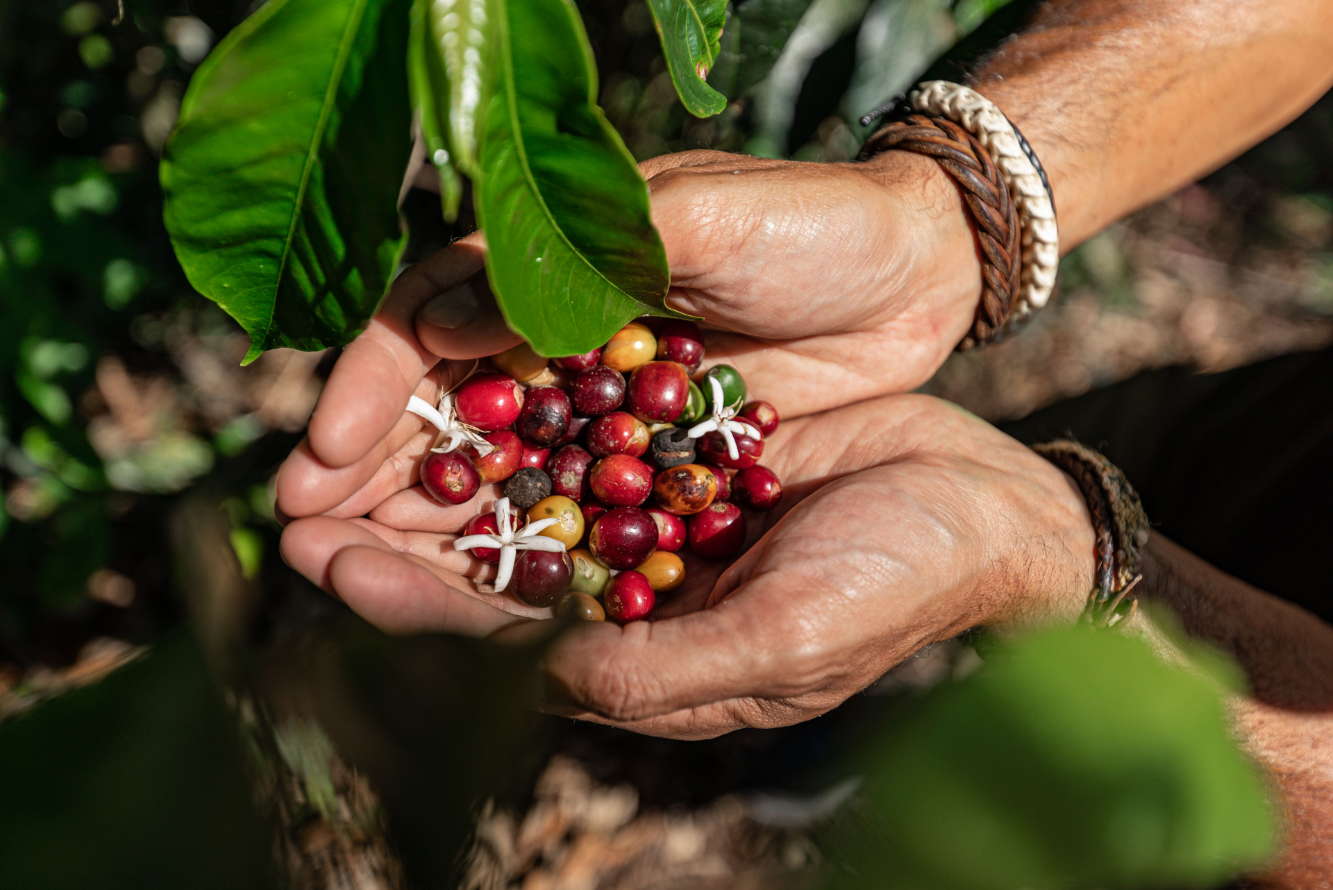 engagement-responsable-equateur