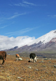 quito-et-les-andes