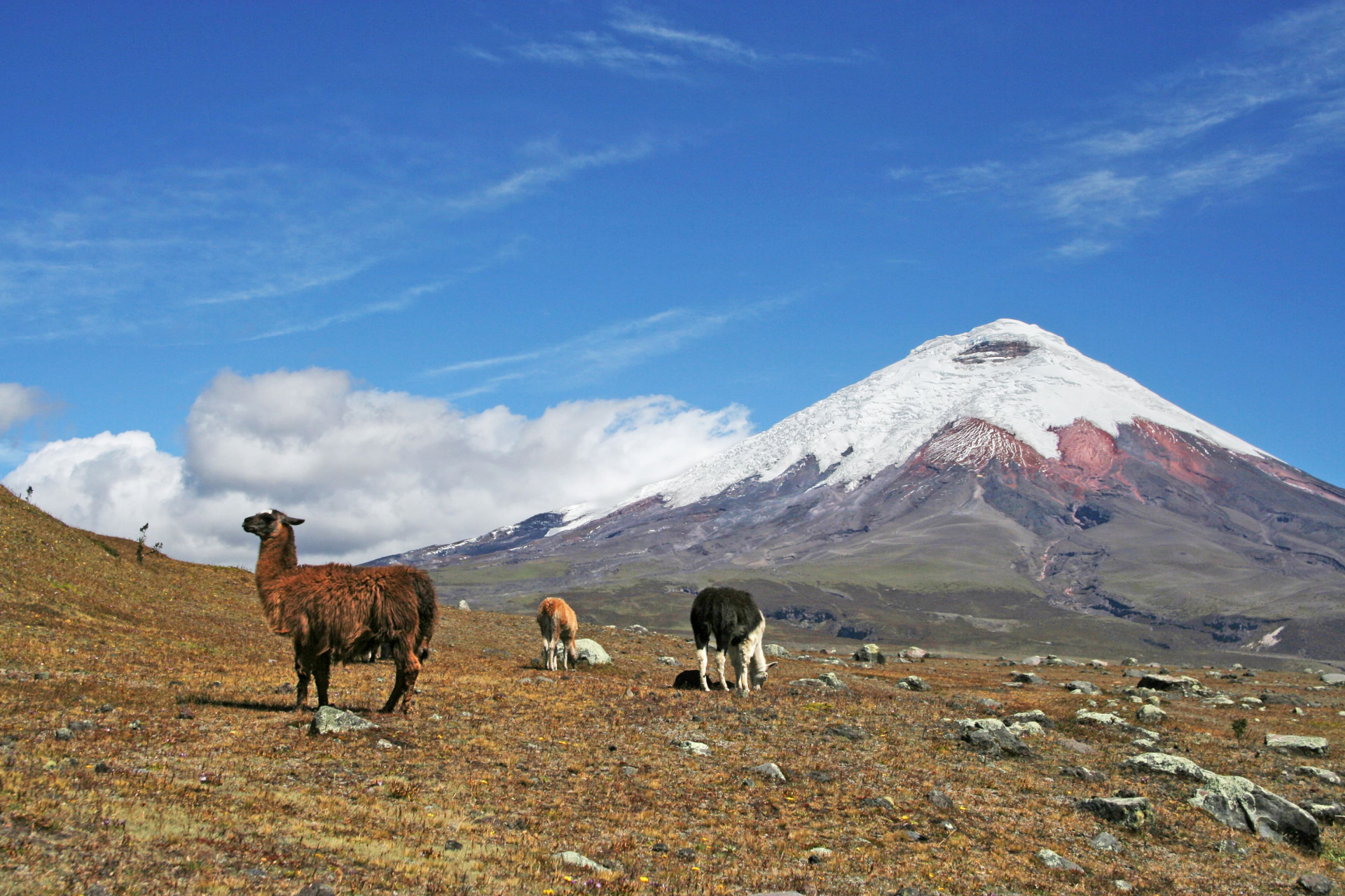 quito-et-les-andes