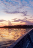 cuyabeno-et-lamazonie