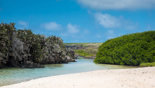 ile-genovesa