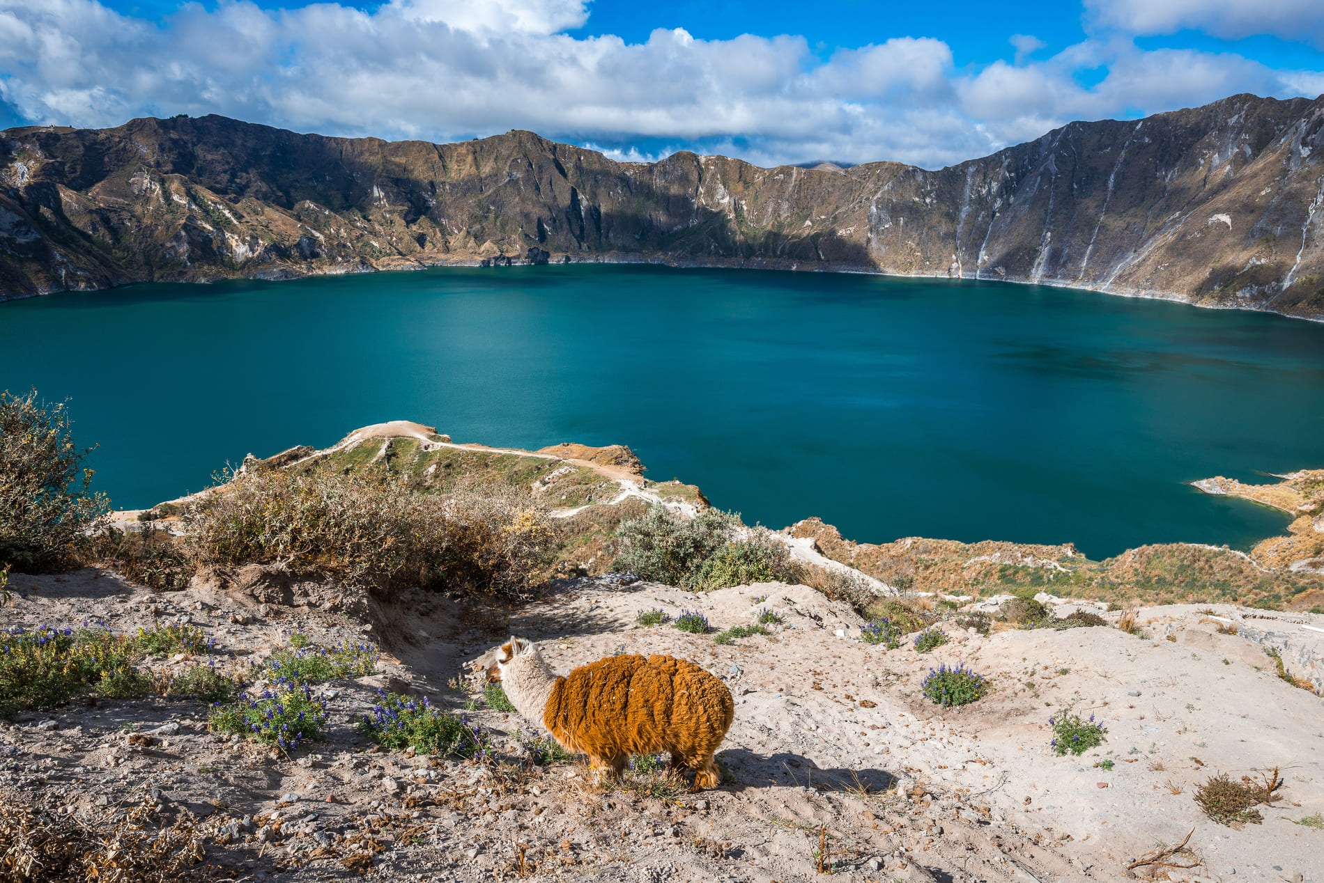 Regions-lac-equateur