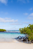 santa-cruz-galapagos