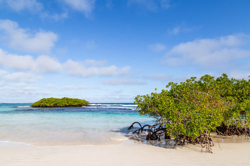 santa-cruz-galapagos