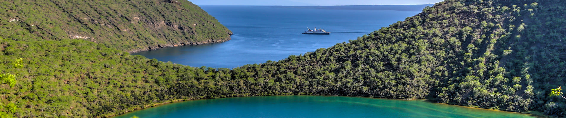 tegus-cover-galapagos-equateur