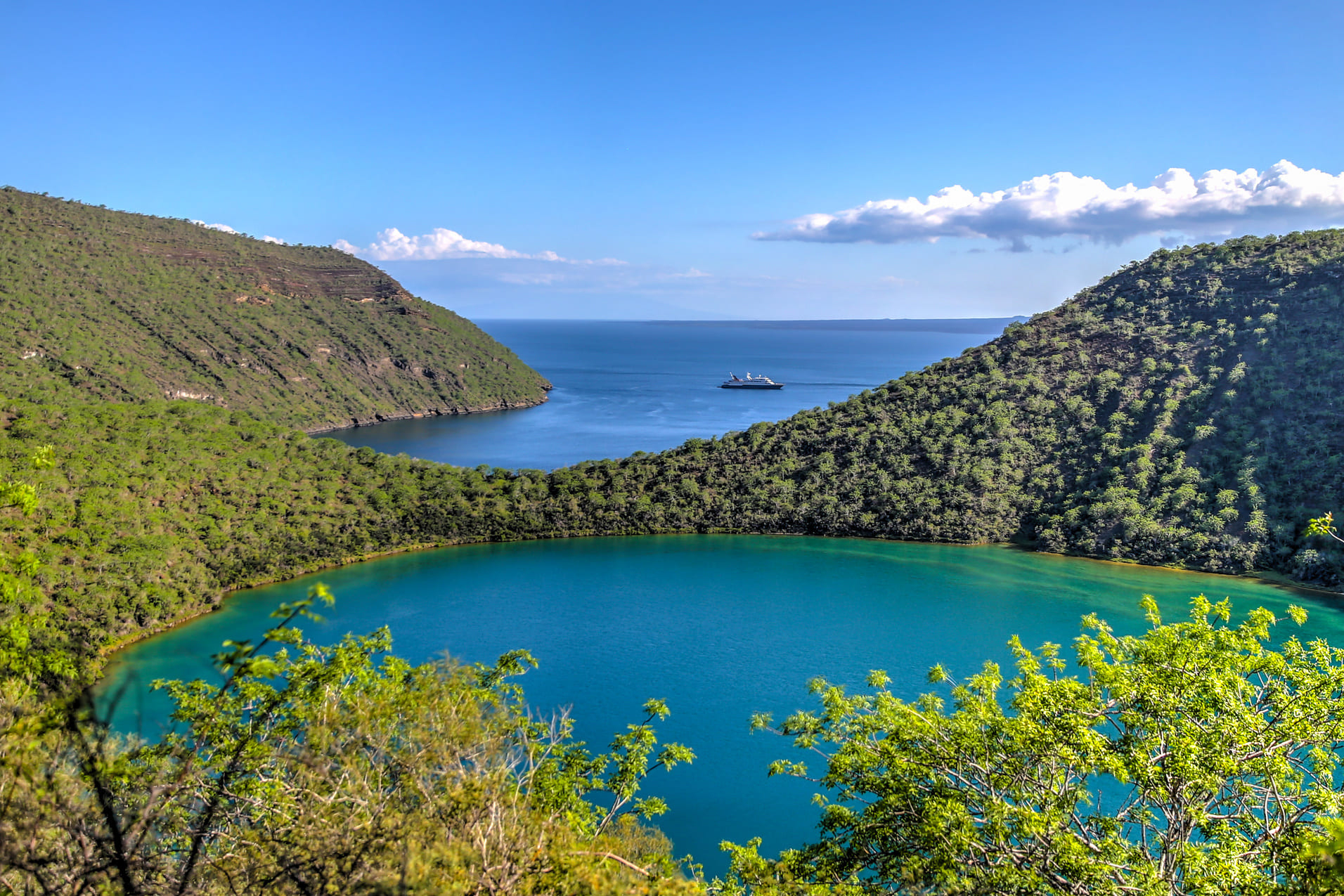 tegus-cover-galapagos-equateur