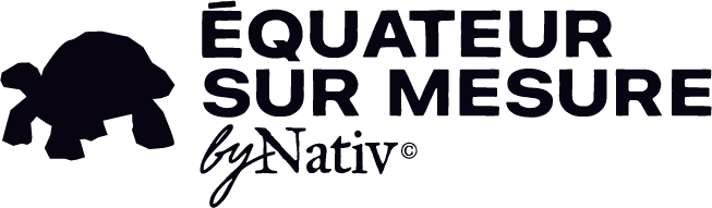 Vol Interne en Equateur - Agence Locale